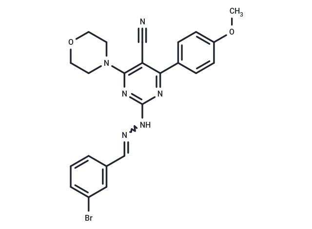 PI3K-IN-33 Chemical Structure