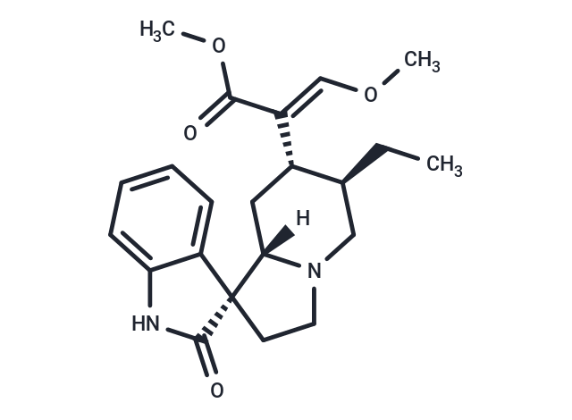TargetMol Chemical Structure Rhynchophylline