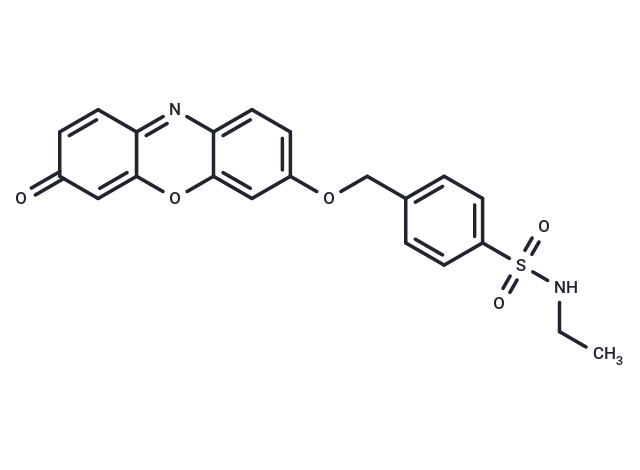TargetMol Chemical Structure WRG-28
