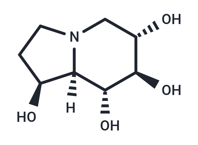 TargetMol Chemical Structure Castanospermine