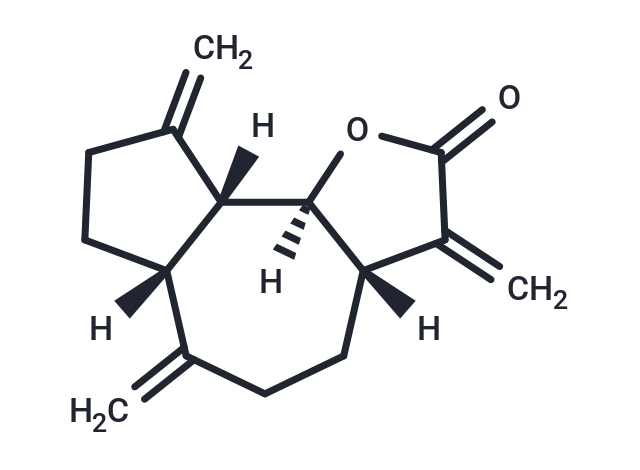 Dehydrocostus Lactone Chemical Structure
