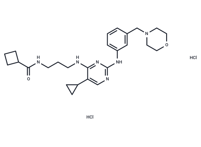 TargetMol Chemical Structure MRT 67307 dihydrochloride