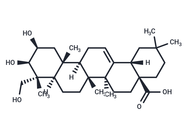 TargetMol Chemical Structure Bayogenin