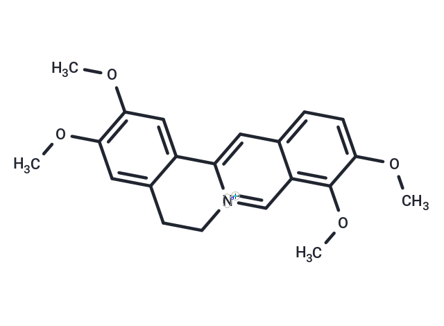 TargetMol Chemical Structure Palmatine