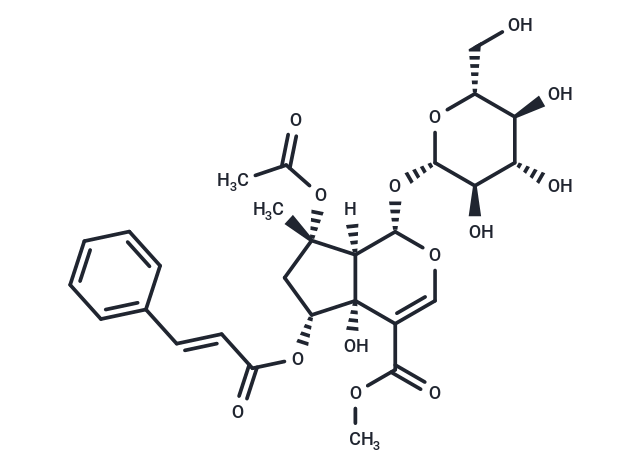 TargetMol Chemical Structure 6-O-trans-Cinnamoylphlorigidoside B