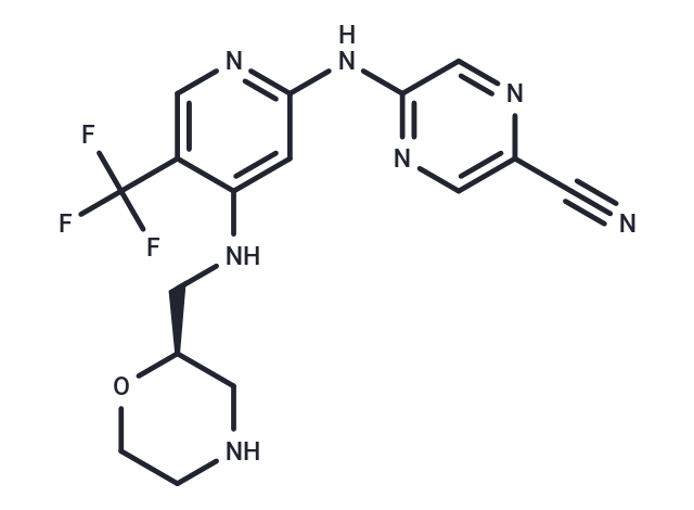 TargetMol Chemical Structure CCT245737