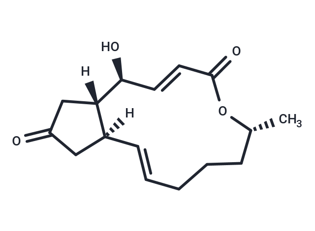 7-Dehydrobrefeldin A Chemical Structure