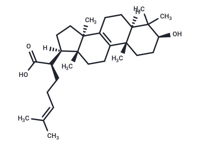 TargetMol Chemical Structure Trametenolic acid