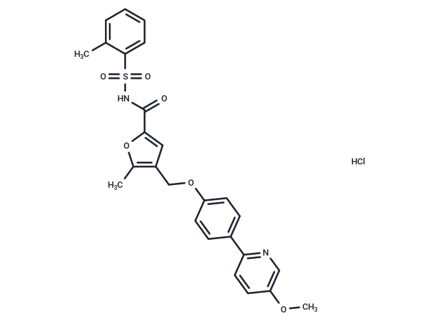BGC-20-1531 hydrochloride(1186532-61-5 free base) Chemical Structure