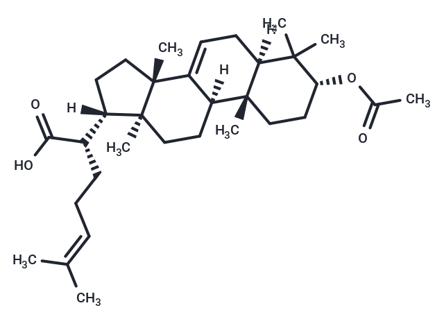 TargetMol Chemical Structure 3α-acetoxy-tirucall-7,24-dien-21oic acid
