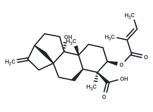 TargetMol Chemical Structure 3Alaph-Tigloyloxypterokaurene L3