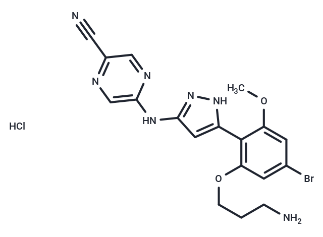 CHK1-IN-4 hydrochloride Chemical Structure