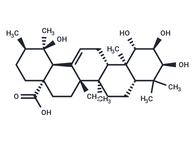 TargetMol Chemical Structure 1β-Hydroxyeuscaphic acid