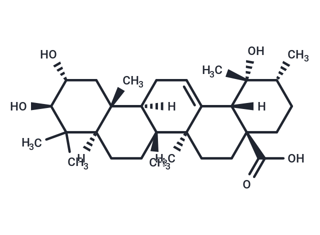Tormentic acid Chemical Structure