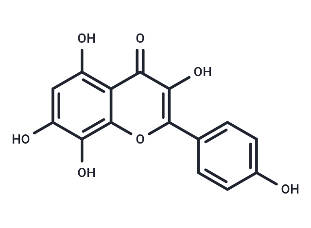 TargetMol Chemical Structure Herbacetin
