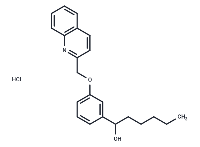 TargetMol Chemical Structure REV 5901A