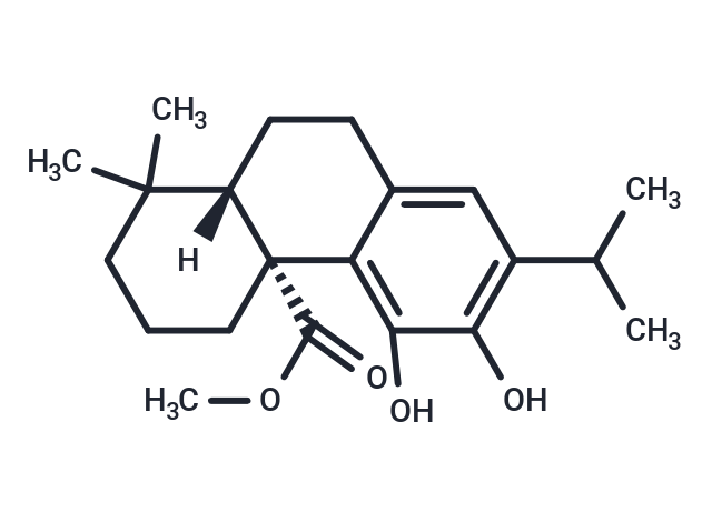 TargetMol Chemical Structure Methyl carnosate