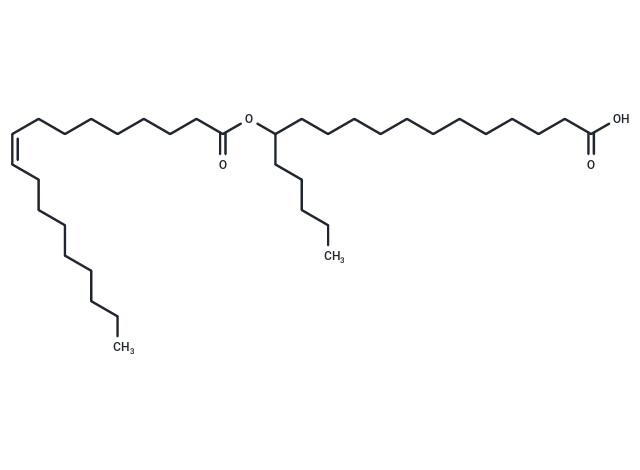 13-OAHSA Chemical Structure