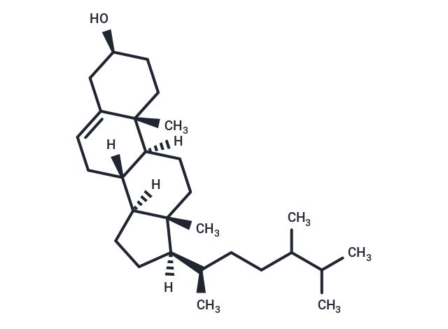 24-Methylcholesterol Chemical Structure
