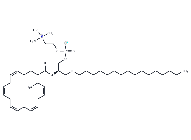1-O-hexadecyl-2-Eicosapentaenoyl-sn-glycero-3-PC Chemical Structure