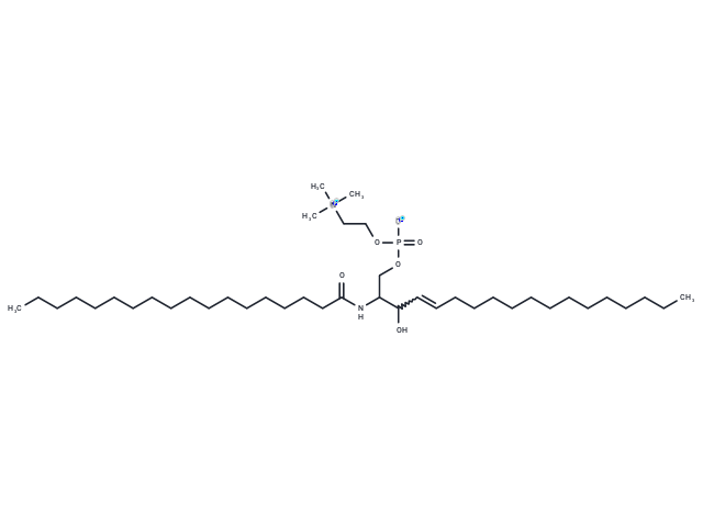 C18 Sphingomyelin (d18:1/18:0) Chemical Structure