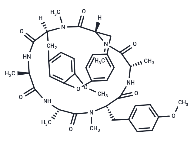 RA VII