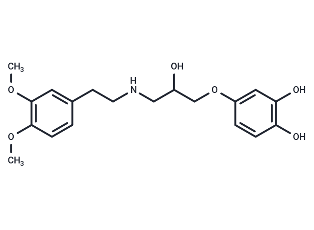 Ro 363