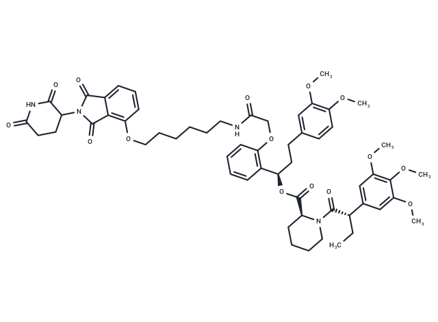 FKBP12 PROTAC dTAG-13