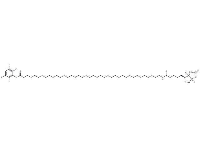 Biotin-PEG12-TFP ester