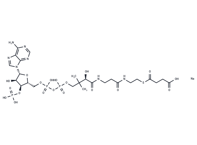 Succinyl-Coenzyme A sodium salt