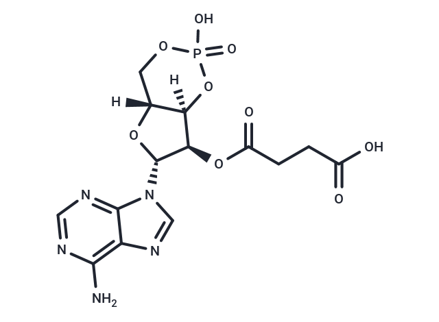 2'-O-Succinyl-cAMP