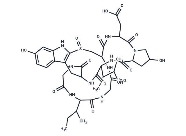 ε-Amanitin