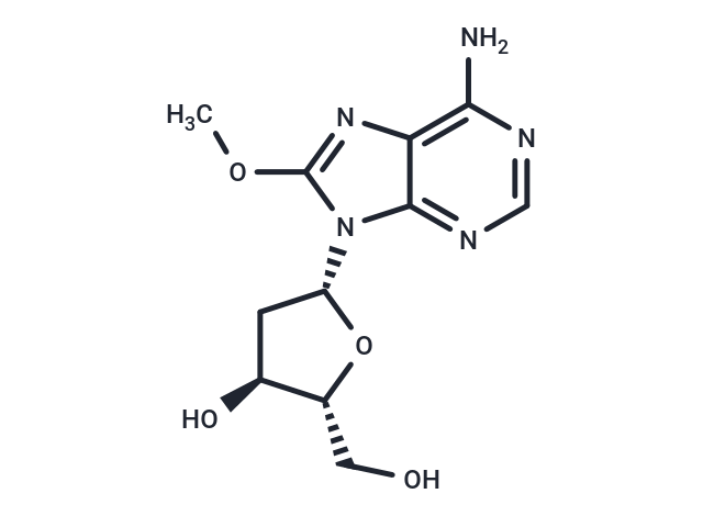 2’-Deoxy-8-methoxyadenosine