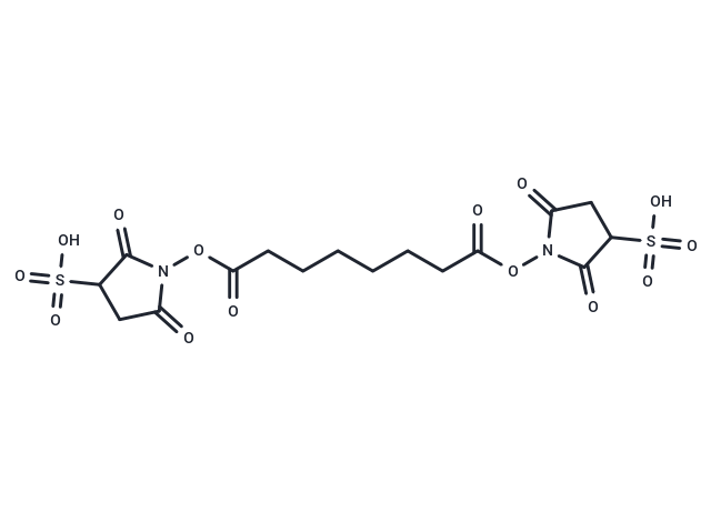 BS3 Crosslinker