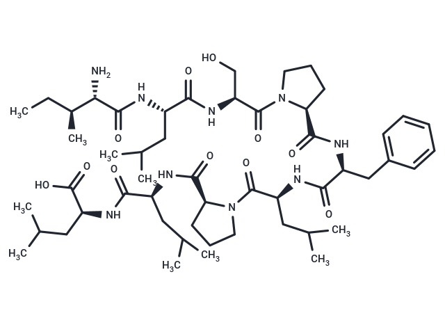 HBV Seq2 aa:208-216