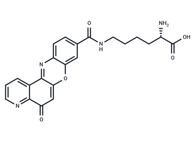 Topoisomerase IIα-IN-2