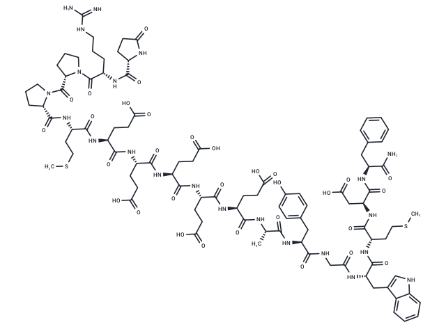 Gastrin I, rat