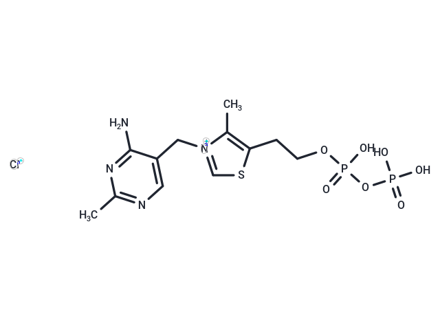 Thiamine pyrophosphate