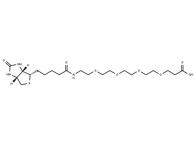 Biotin-PEG4-acid