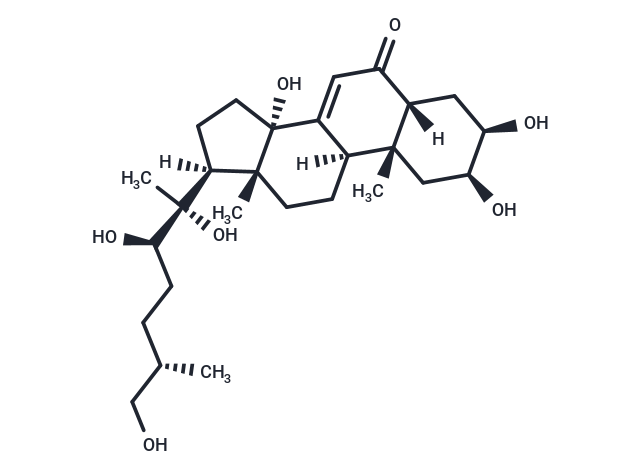 25S-Inokosterone