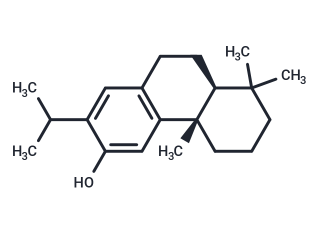 Ferruginol