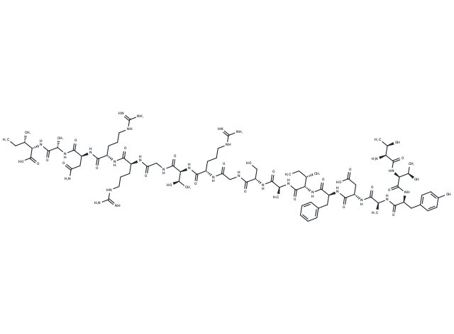 Protein kinase inhibitor peptide