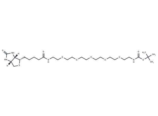 Biotin-PEG5-NH-Boc