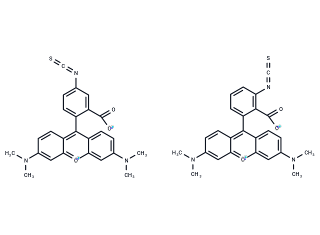 5(6)-TRITC [Tetramethylrhodamine-5-(and-6)-isothiocyanate] *Mixed isomers*