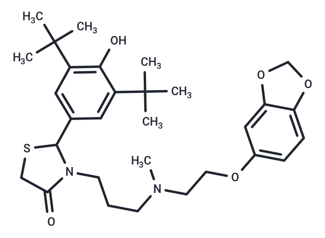 CP-060