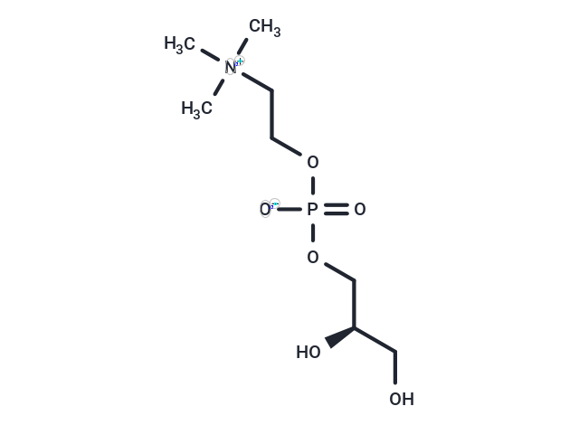 sn-Glycero-3-phosphocholine