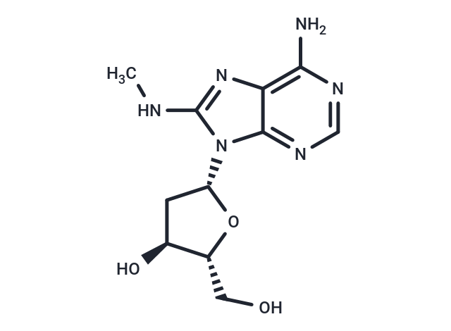 2’-Deoxy-8-methylamino-adenosine