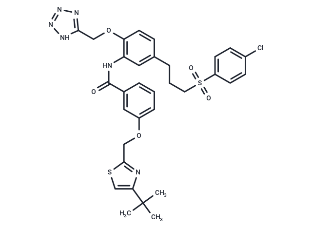 YM158 free base