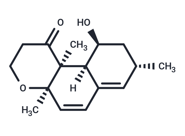 LL-N 313