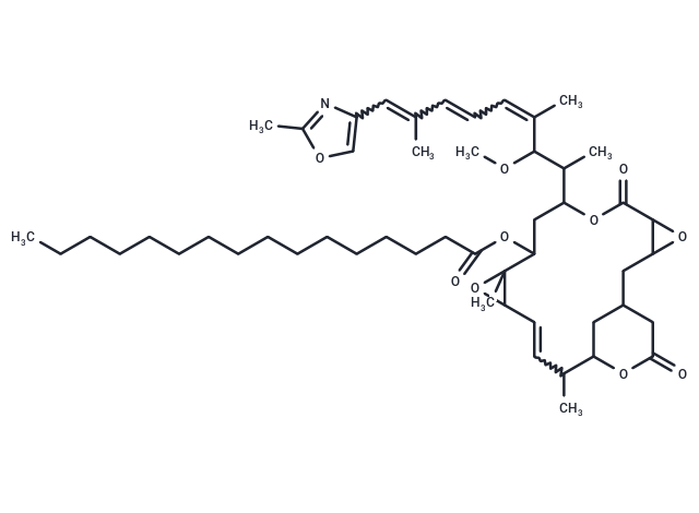 Palmitoyl rhizoxin